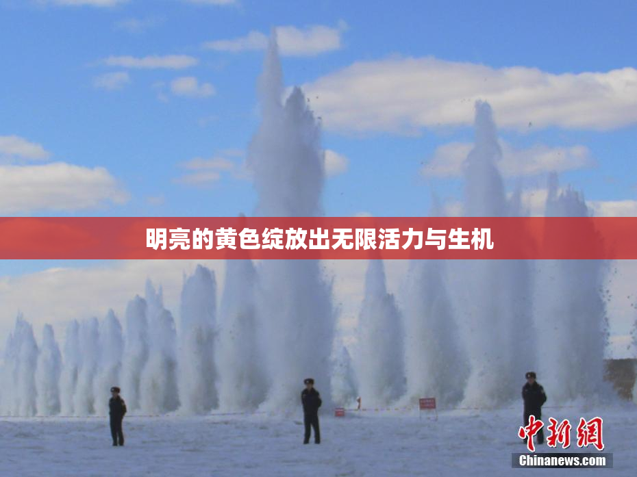 明亮的黄色绽放出无限活力与生机