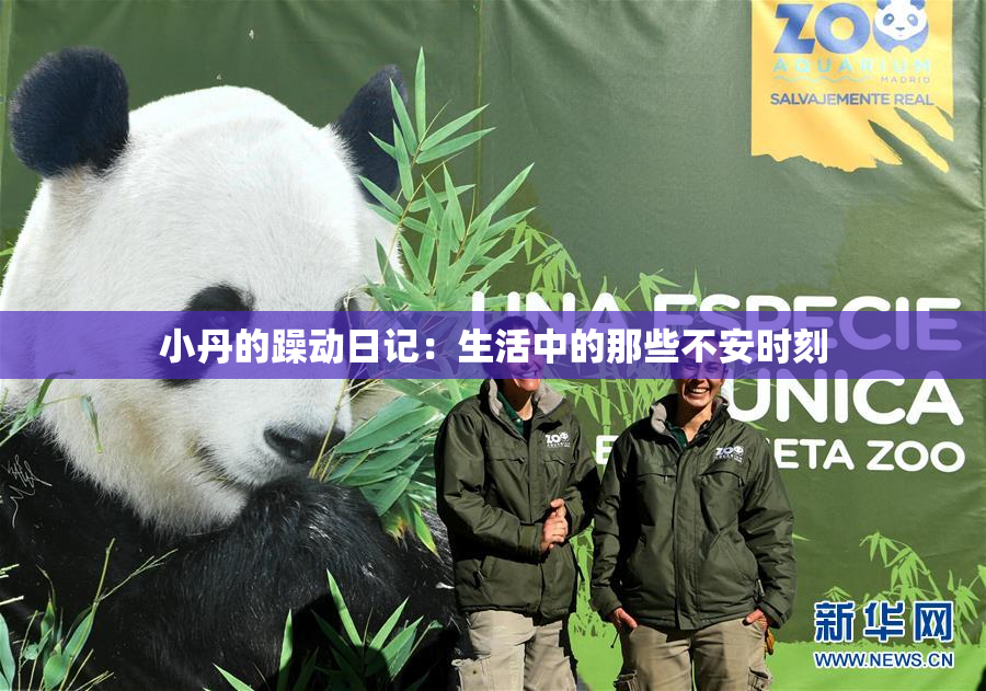 小丹的躁动日记：生活中的那些不安时刻