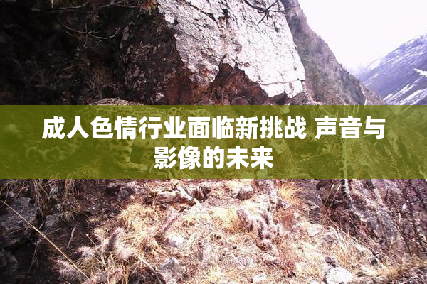 成人色情行业面临新挑战 声音与影像的未来