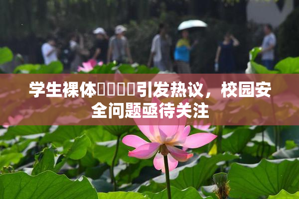 学生裸体❌‌❌‌引发热议，校园安全问题亟待关注