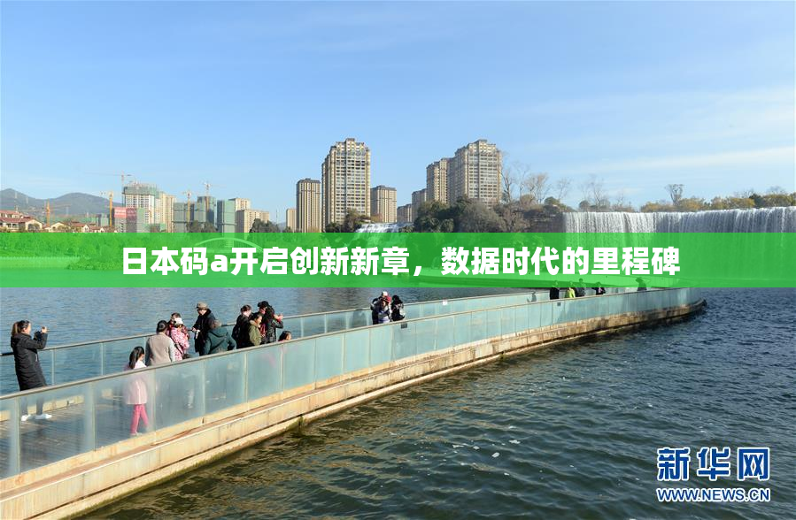 日本码a开启创新新章，数据时代的里程碑