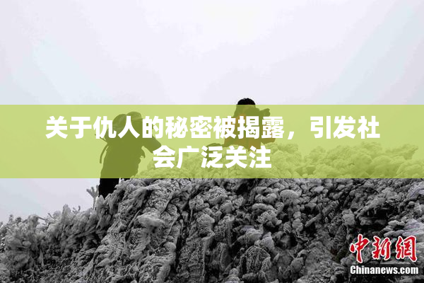 关于仇人的秘密被揭露，引发社会广泛关注