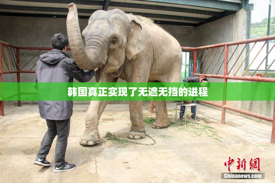 韩国真正实现了无遮无挡的进程