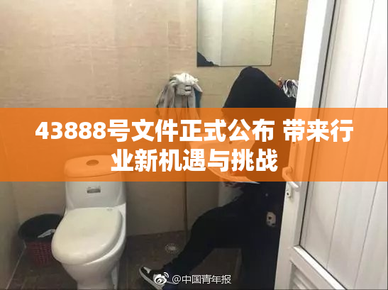 43888号文件正式公布 带来行业新机遇与挑战