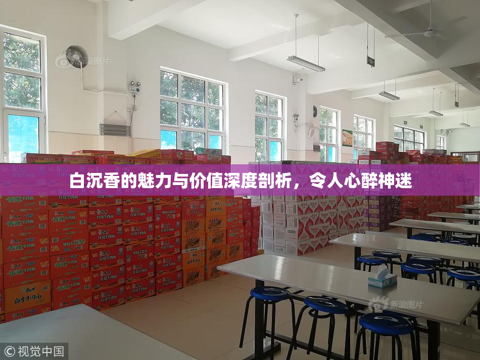 白沉香的魅力与价值深度剖析，令人心醉神迷