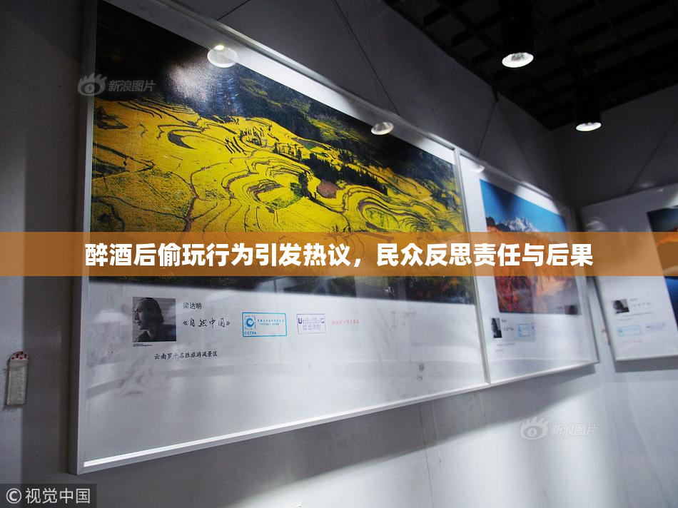 醉酒后偷玩行为引发热议，民众反思责任与后果