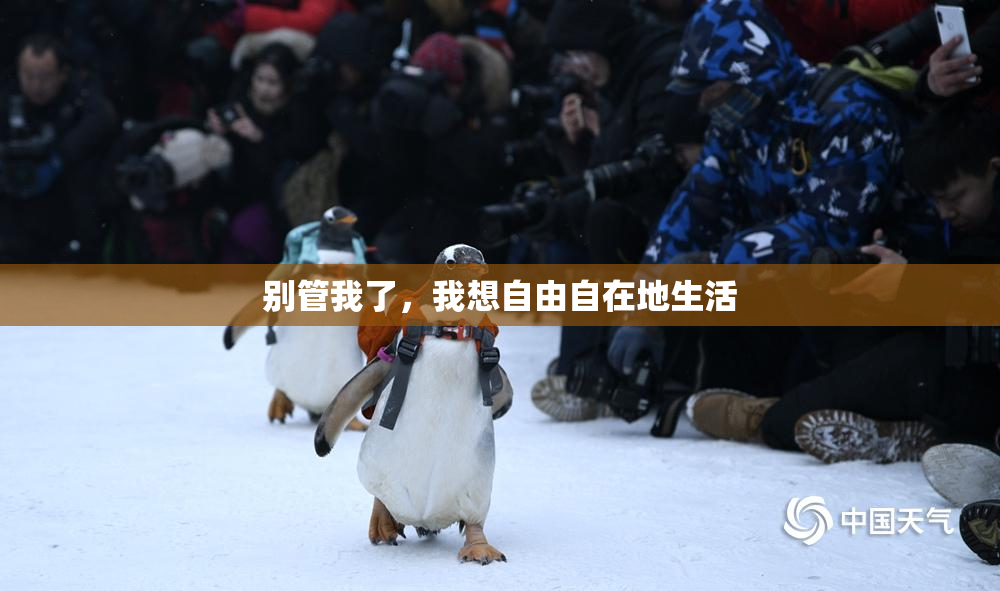别管我了，我想自由自在地生活
