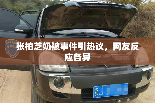 张柏芝奶被事件引热议，网友反应各异
