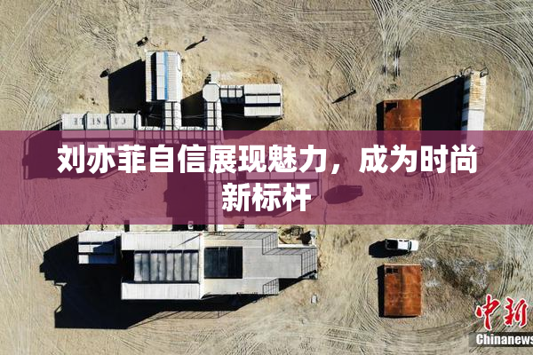 刘亦菲自信展现魅力，成为时尚新标杆