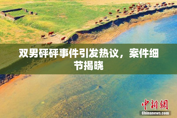 双男砰砰事件引发热议，案件细节揭晓