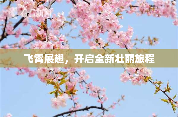 飞霄展翅，开启全新壮丽旅程