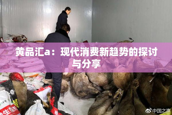 黄品汇a：现代消费新趋势的探讨与分享