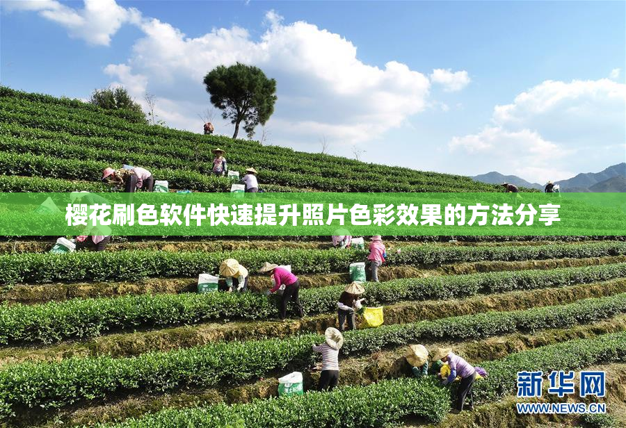 樱花刷色软件快速提升照片色彩效果的方法分享