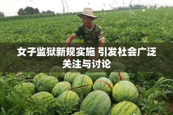 女子监狱新规实施 引发社会广泛关注与讨论