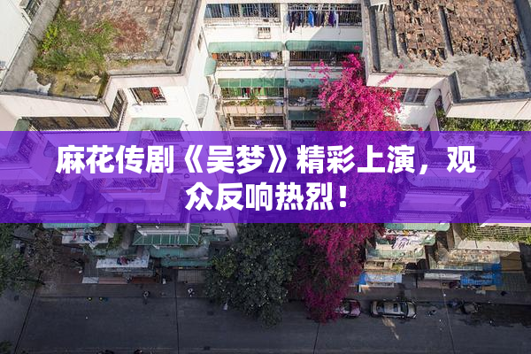 麻花传剧《吴梦》精彩上演，观众反响热烈！