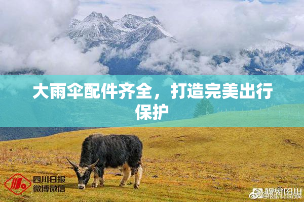 大雨伞配件齐全，打造完美出行保护