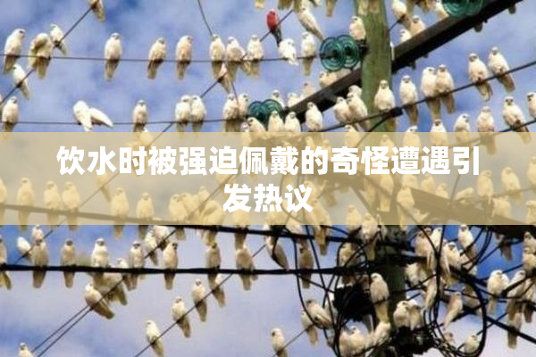饮水时被强迫佩戴的奇怪遭遇引发热议