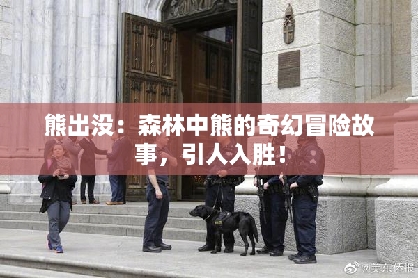 熊出没：森林中熊的奇幻冒险故事，引人入胜！