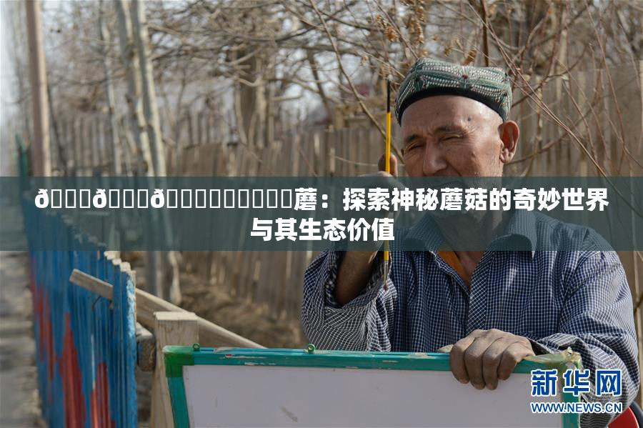 🍆🍑🔞❌‌❌‌❌‌蘑：探索神秘蘑菇的奇妙世界与其生态价值