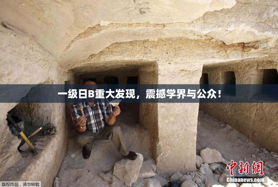 一级日B重大发现，震撼学界与公众！