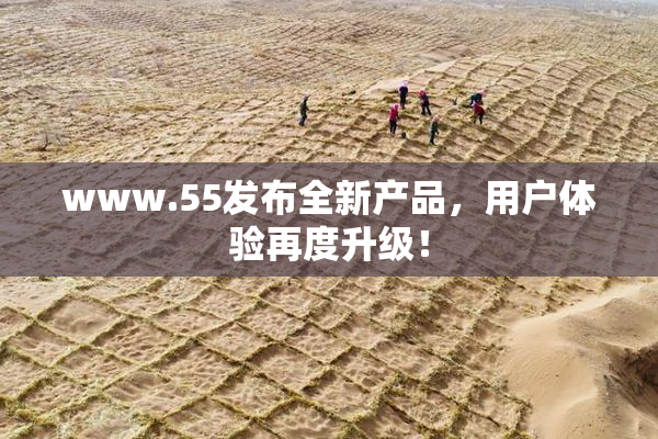 www.55发布全新产品，用户体验再度升级！