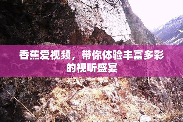 香蕉爱视频，带你体验丰富多彩的视听盛宴