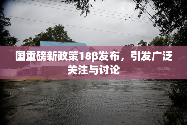 国重磅新政策18β发布，引发广泛关注与讨论