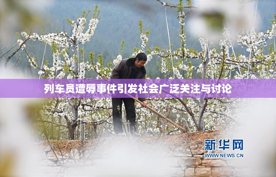 列车员遭辱事件引发社会广泛关注与讨论