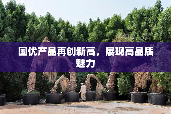 国优产品再创新高，展现高品质魅力