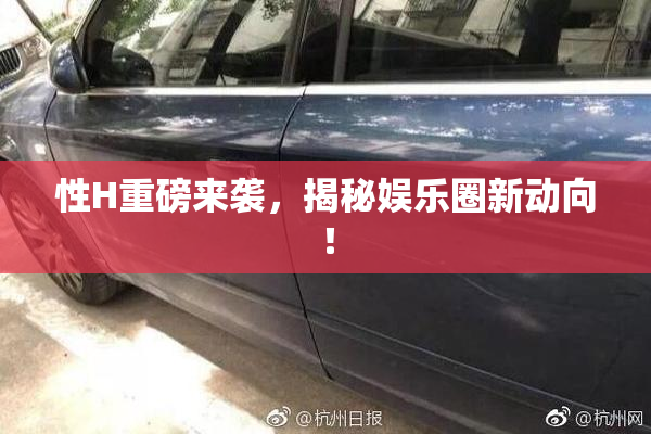 性H重磅来袭，揭秘娱乐圈新动向！