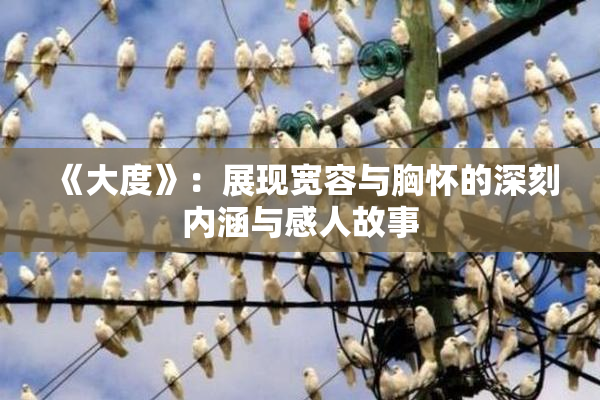 《大度》：展现宽容与胸怀的深刻内涵与感人故事