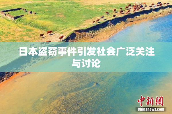 日本盗窃事件引发社会广泛关注与讨论