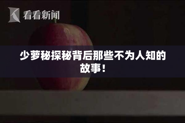 少萝秘探秘背后那些不为人知的故事！