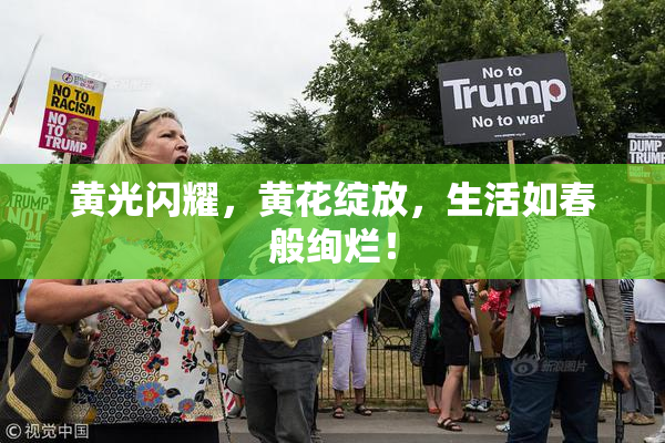 黄光闪耀，黄花绽放，生活如春般绚烂！