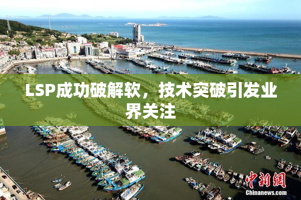 LSP成功破解软，技术突破引发业界关注