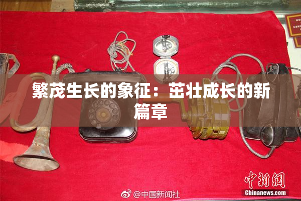 繁茂生长的象征：茁壮成长的新篇章