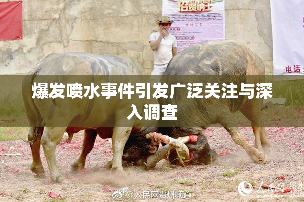 爆发喷水事件引发广泛关注与深入调查