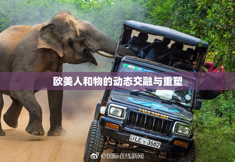 欧美人和物的动态交融与重塑