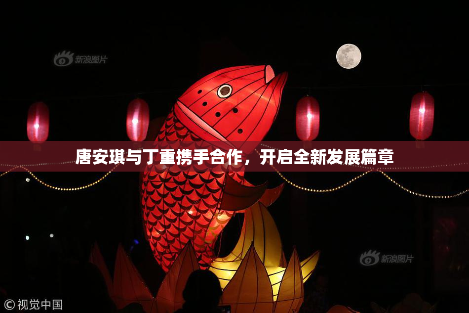 唐安琪与丁重携手合作，开启全新发展篇章