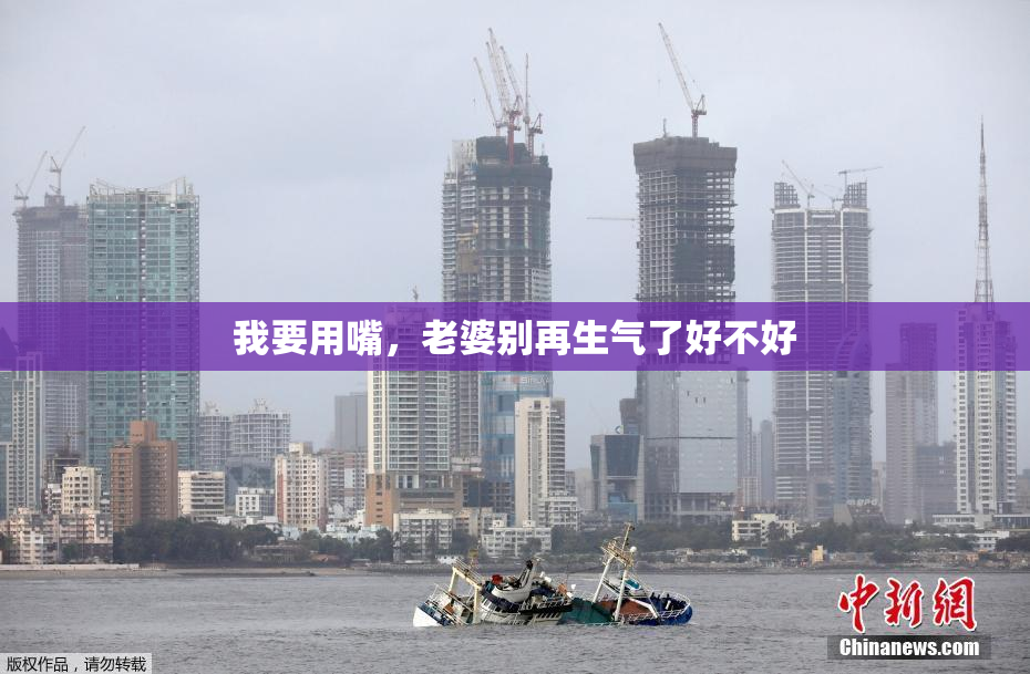 我要用嘴，老婆别再生气了好不好