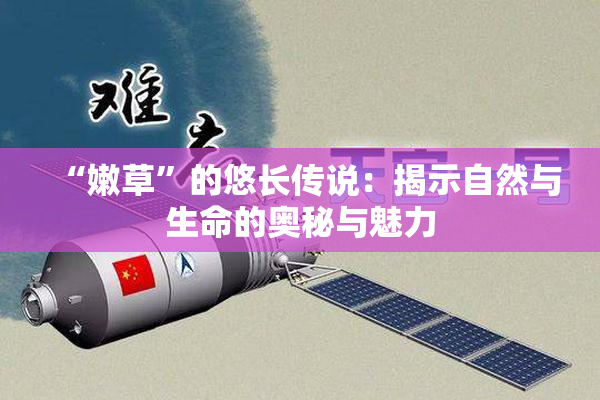 “嫩草”的悠长传说：揭示自然与生命的奥秘与魅力