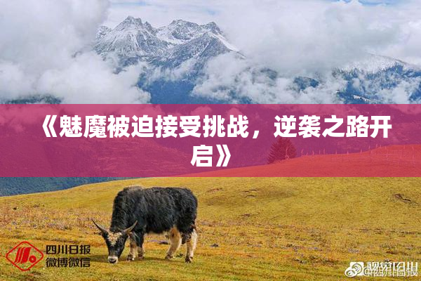 《魅魔被迫接受挑战，逆袭之路开启》