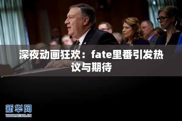 深夜动画狂欢：fate里番引发热议与期待