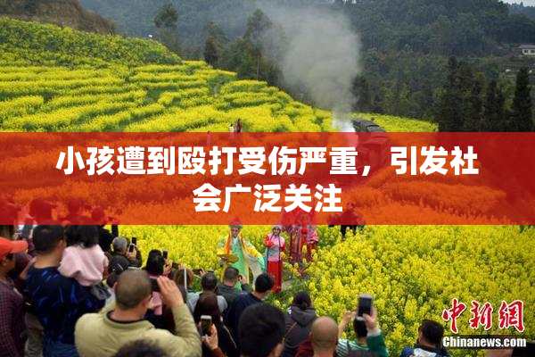 小孩遭到殴打受伤严重，引发社会广泛关注