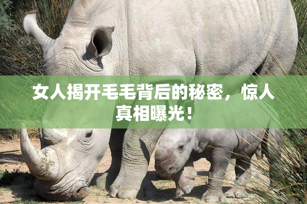 女人揭开毛毛背后的秘密，惊人真相曝光！