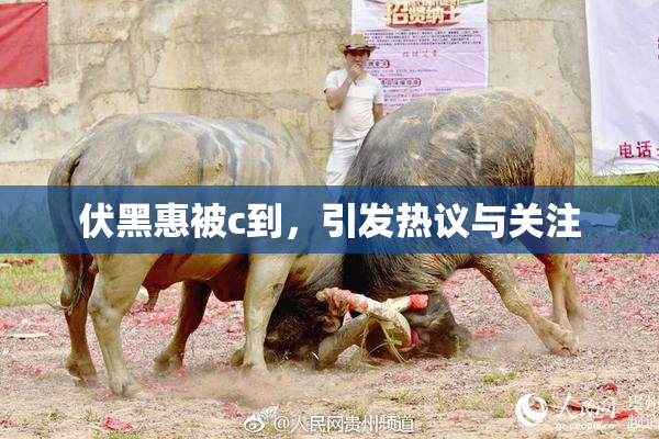 伏黑惠被c到，引发热议与关注