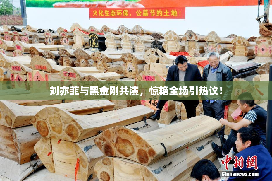 刘亦菲与黑金刚共演，惊艳全场引热议！