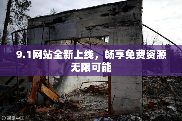 9.1网站全新上线，畅享免费资源无限可能