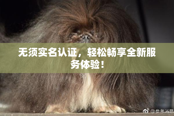 无须实名认证，轻松畅享全新服务体验！