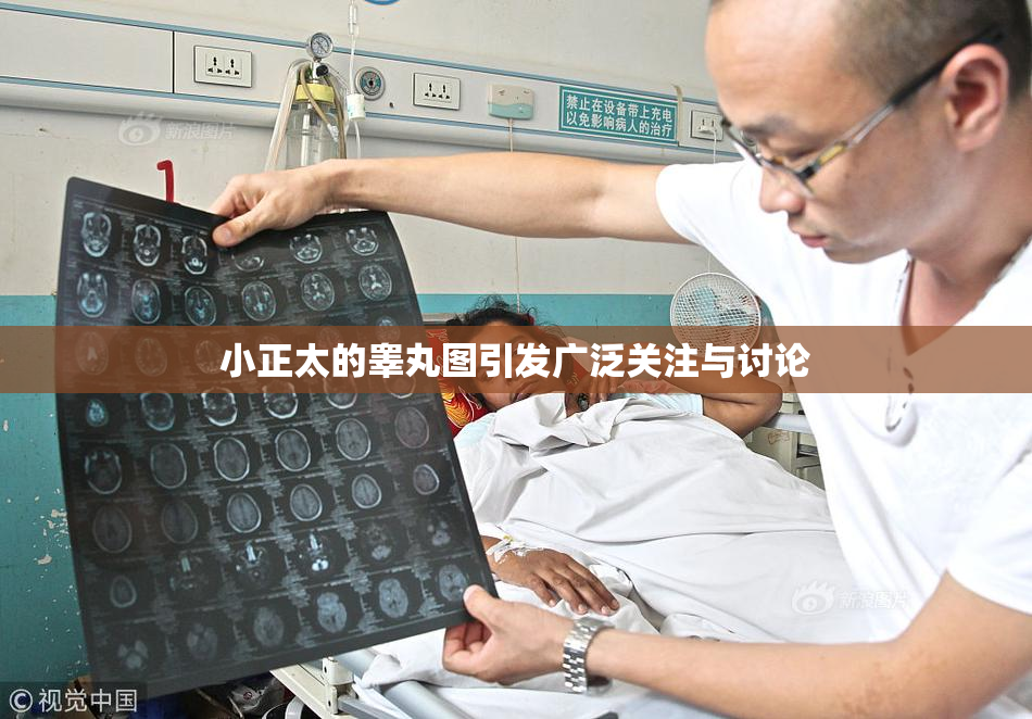 小正太的睾丸图引发广泛关注与讨论